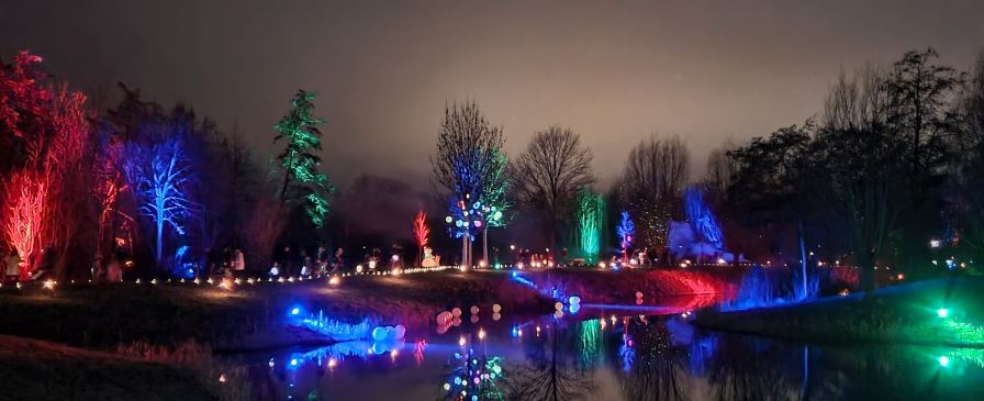 Winterwonderland wandeling in Andel met magisch verlicht bos