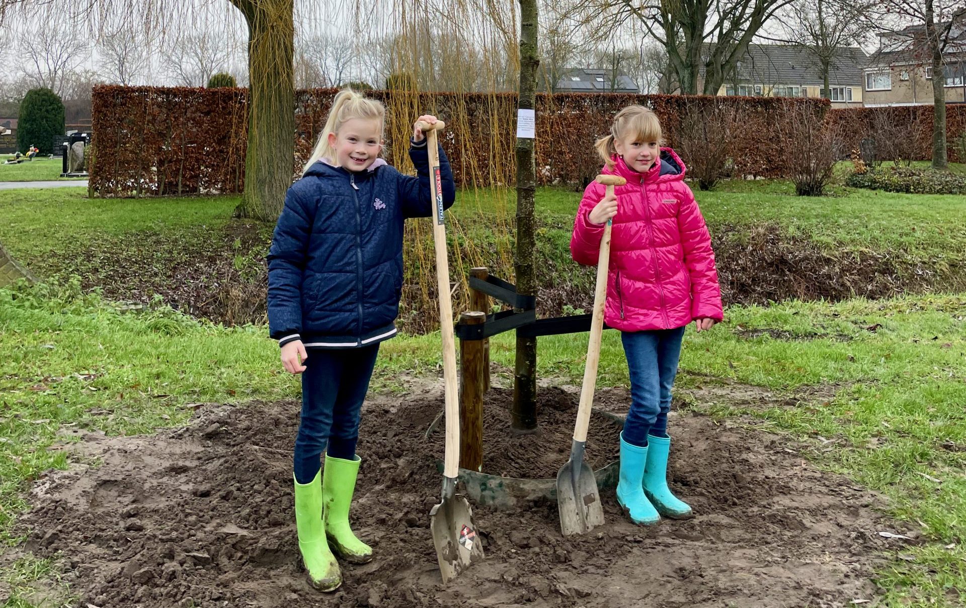 Winnaars kleurwedstrijd planten prachtige Winterlinden in Almkerk