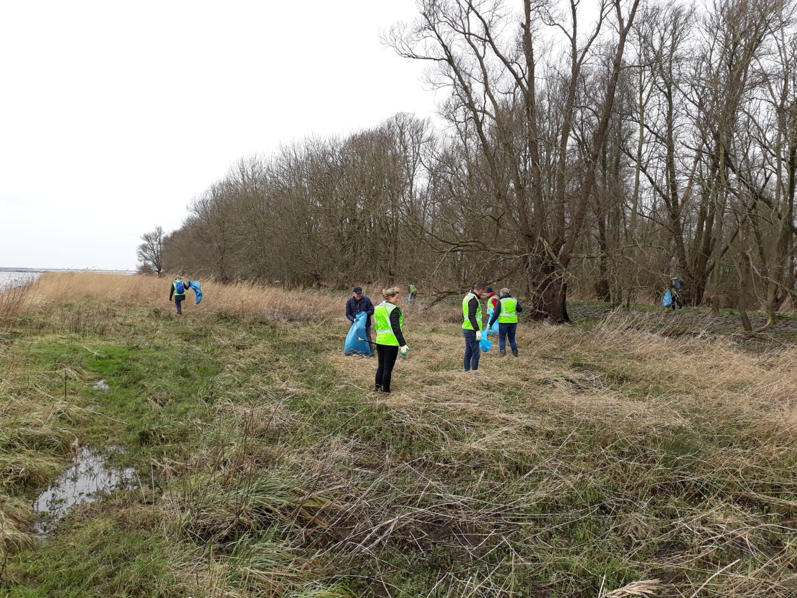 Help mee met het opruimen van zwerfafval in de Biesbosch