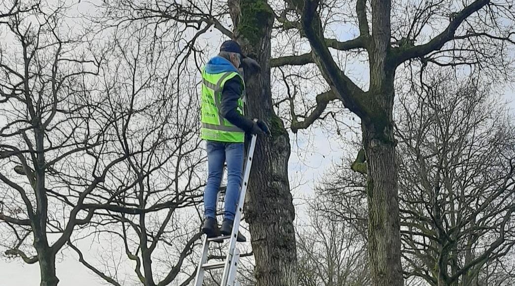 Nestkasten Sleeuwijk een onverminderd groot succes