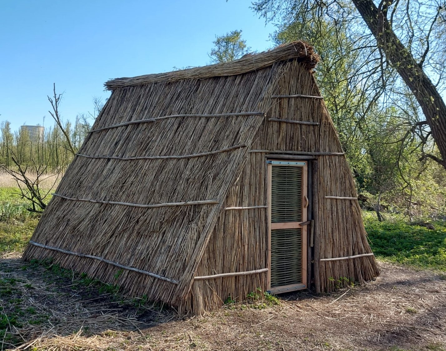 Vrijwilligers bouwen replica van schrankkeet in de Brabantse Biesbosch