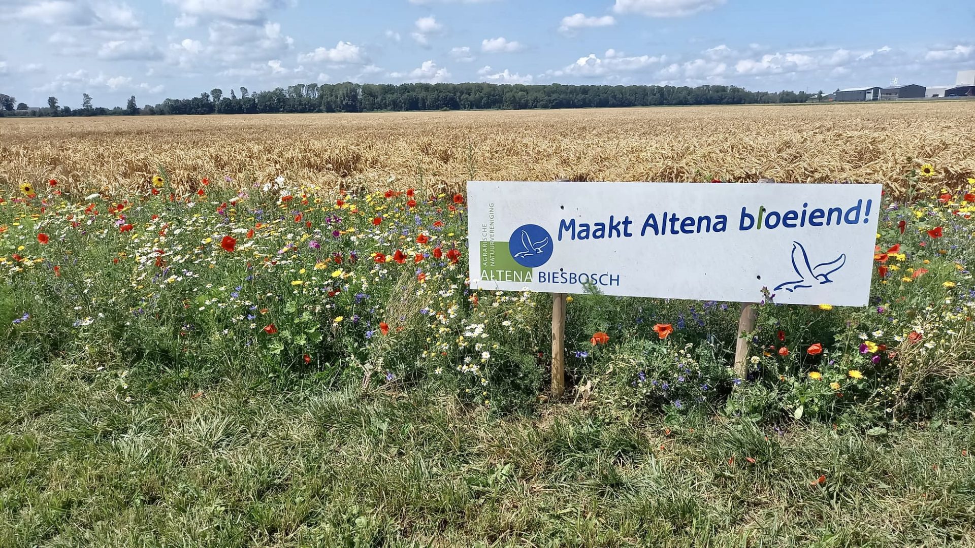 Fotowedstrijd resultaten ANV Bloemenmengsel op de Boerenerfdag