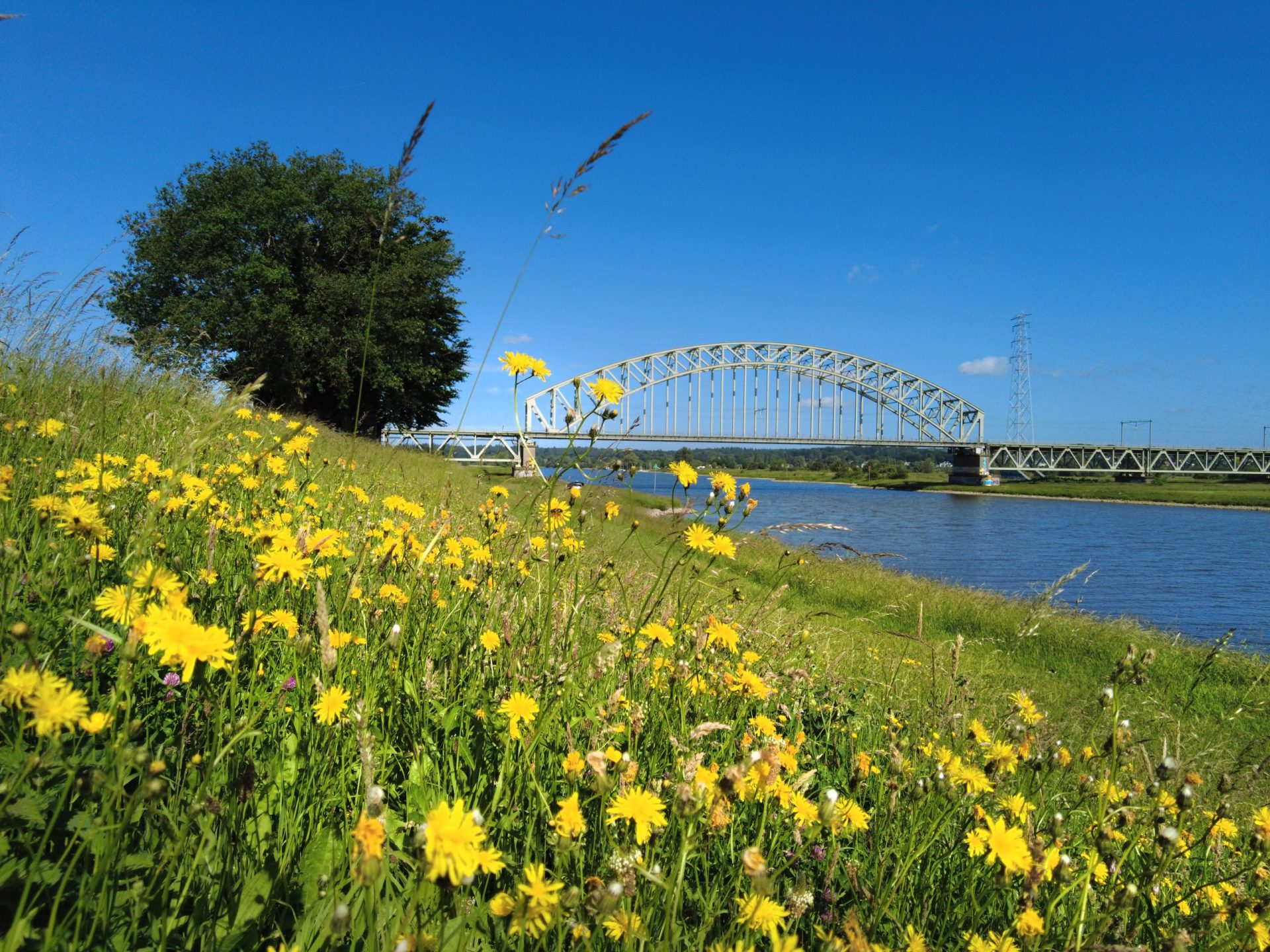 Waterschap Rivierenland geeft dijkhellingen uit