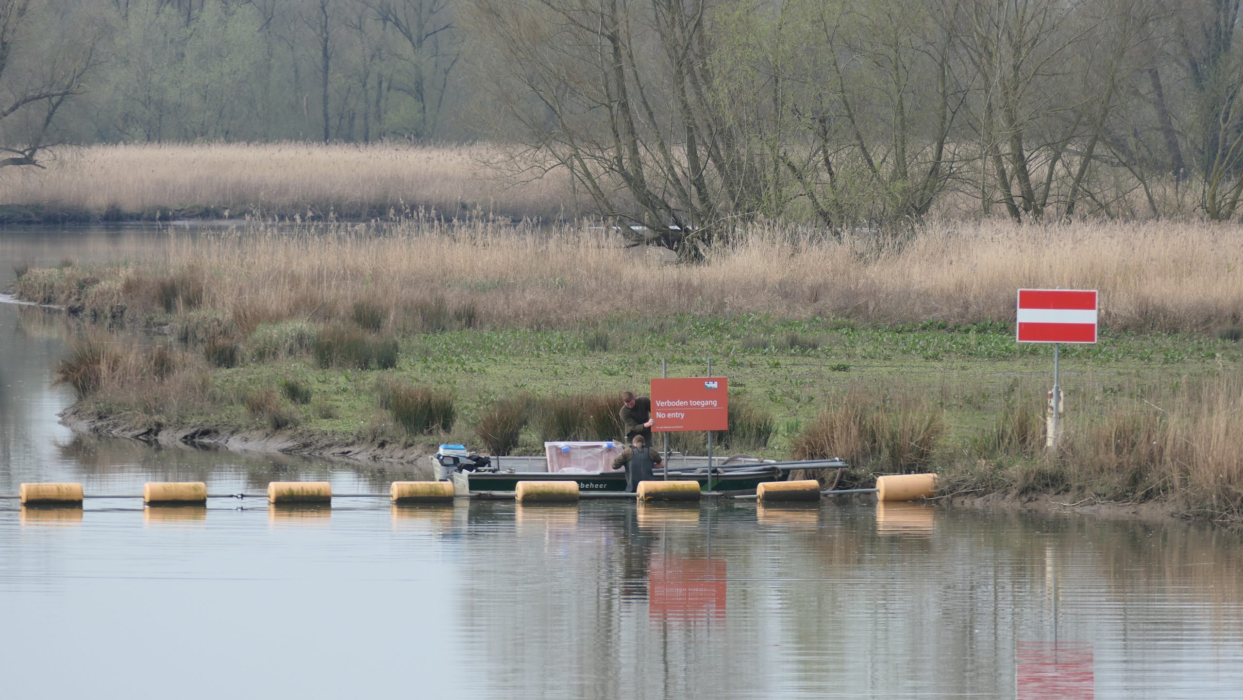 Nachtrust in de Biesbosch om natuur beter te beschermen