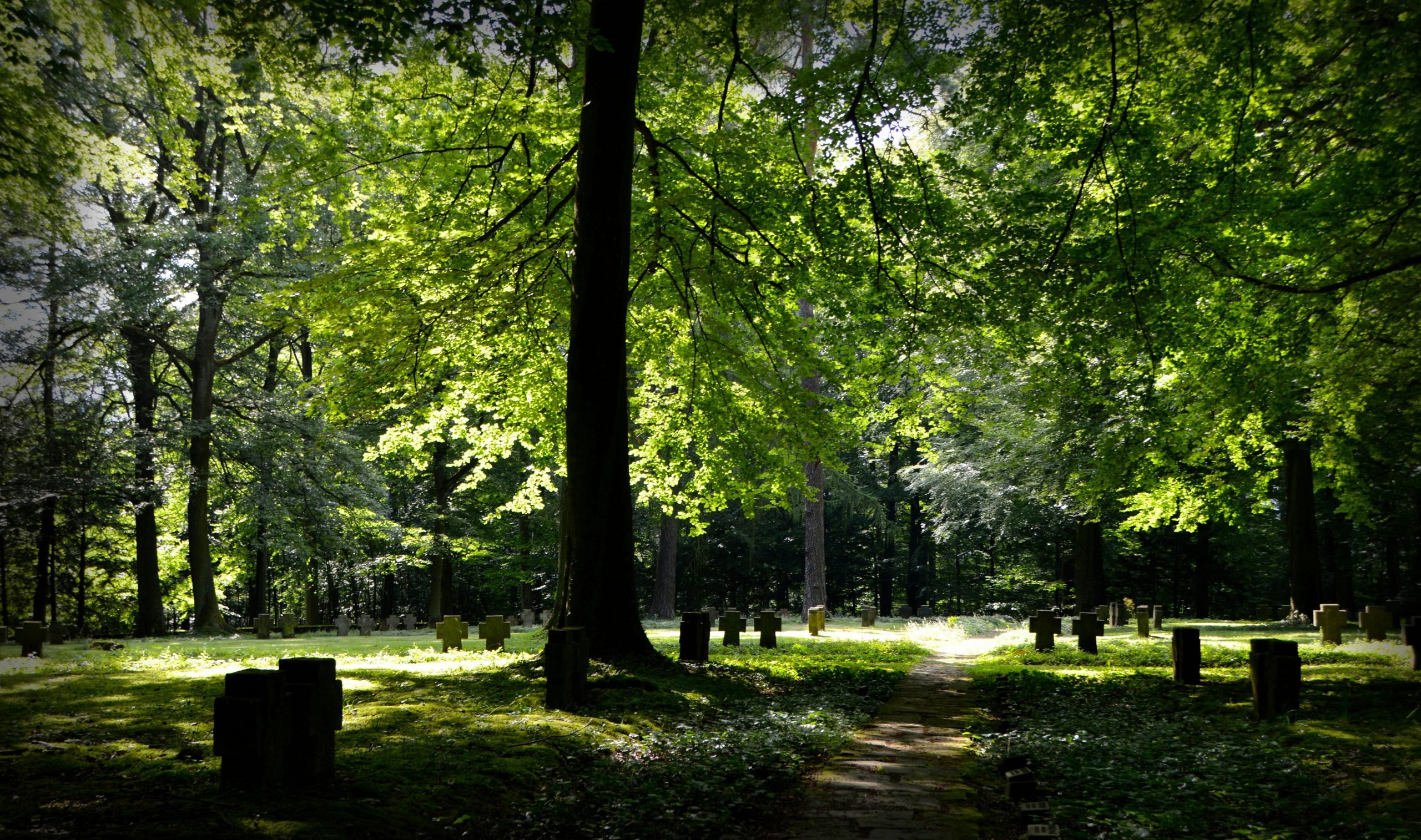 AltenaLokaal wil natuurbegraafplaats in Altena