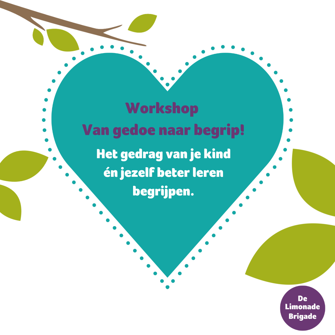 Workshop ‘Van gedoe naar begrip!’ bij De LimonadeBrigade