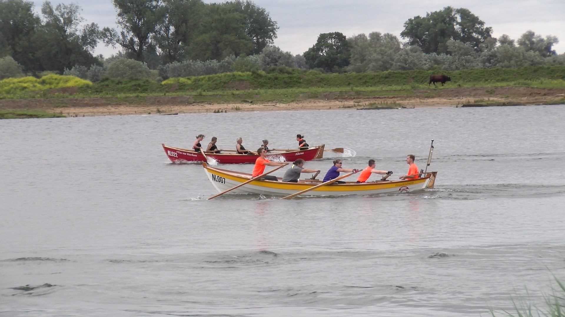 Altena Regatta trok veel deelnemers en bezoekers