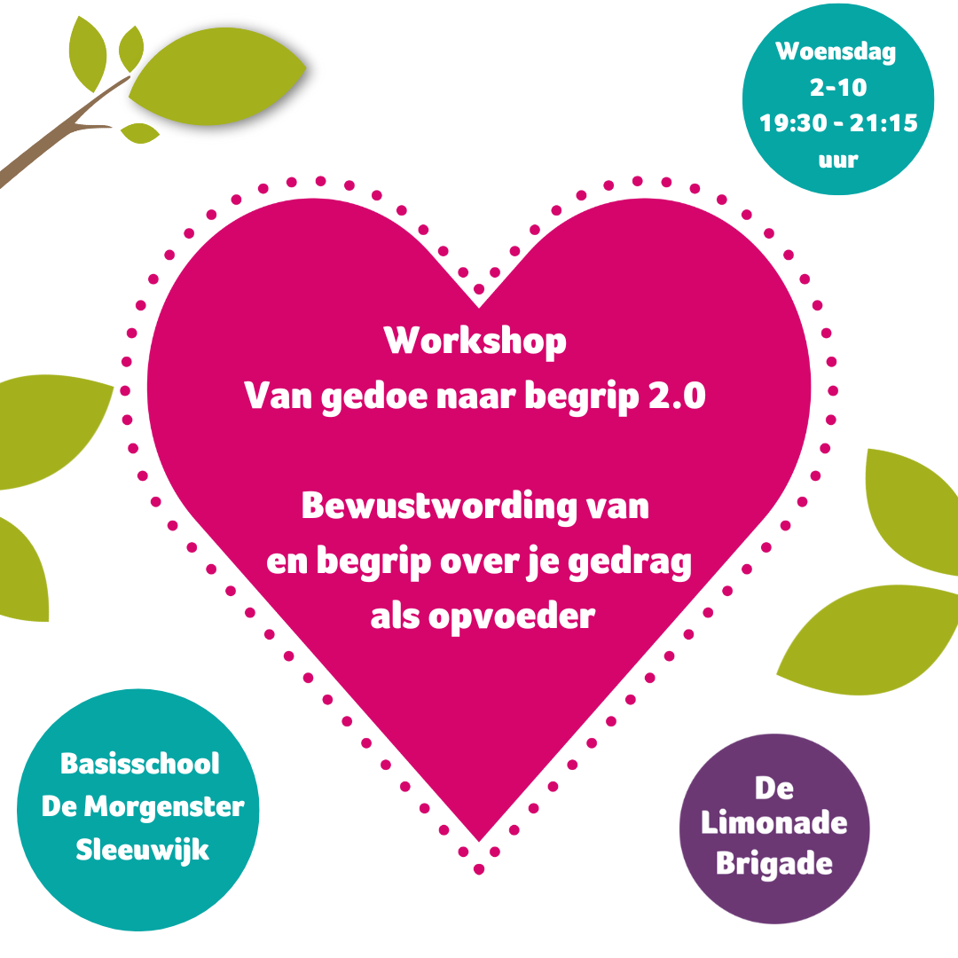 Workshop ‘Van gedoe naar begrip!’ bij De LimonadeBrigade Altena