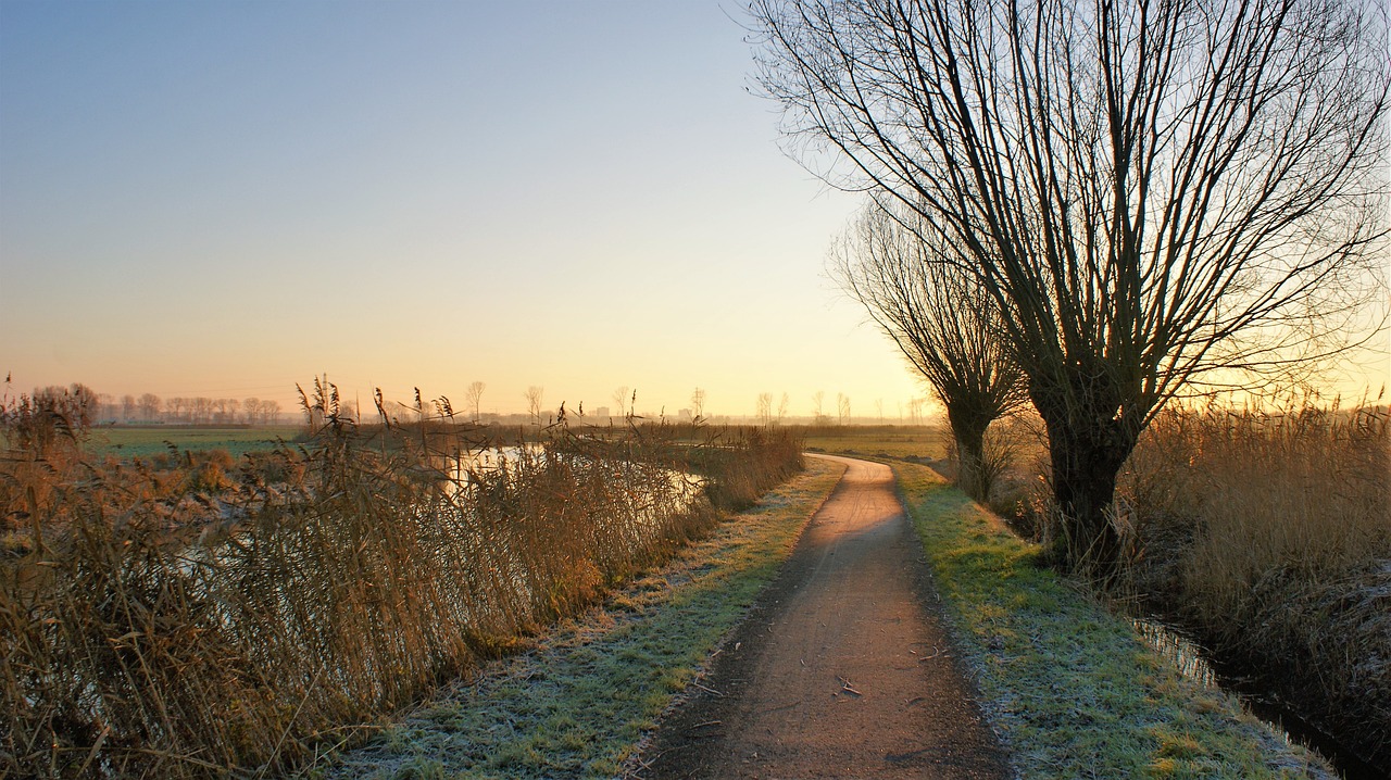 Werkochtend Altenatuur op 16 november in Almkerk